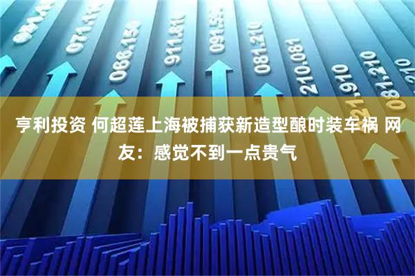 亨利投资 何超莲上海被捕获新造型酿时装车祸 网友：感觉不到一点贵气