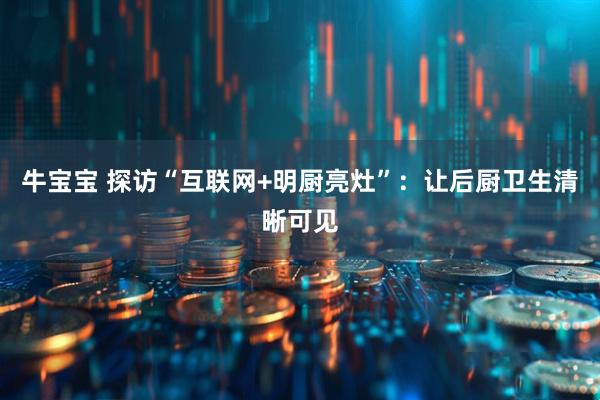 牛宝宝 探访“互联网+明厨亮灶”：让后厨卫生清晰可见