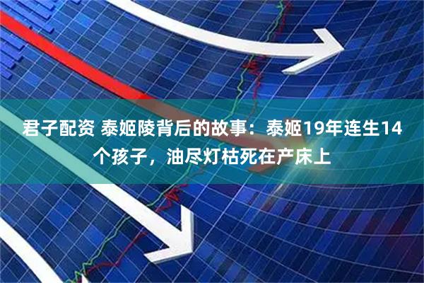 君子配资 泰姬陵背后的故事：泰姬19年连生14个孩子，油尽灯枯死在产床上