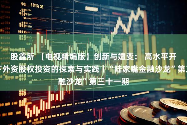 股鑫所 【电视精编版】创新与嬗变： 高水平开放背景下外资股权投资的探索与实践丨“陆家嘴金融沙龙”第三十一期