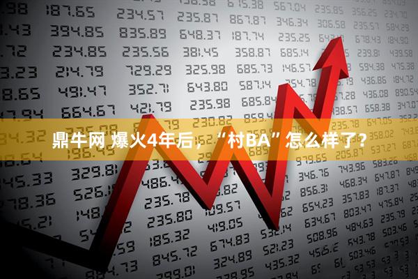 鼎牛网 爆火4年后，“村BA”怎么样了？