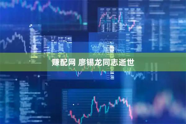 赚配网 廖锡龙同志逝世